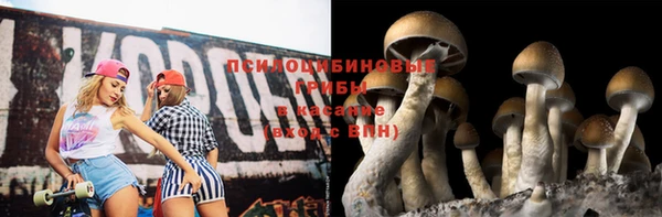прущий лед Аркадак