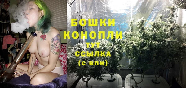 mdpv Арсеньев
