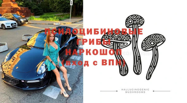 прущий лед Аркадак