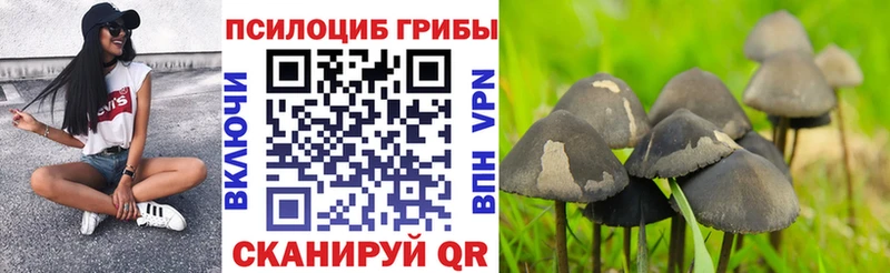 Псилоцибиновые грибы Magic Shrooms  Белокуриха 